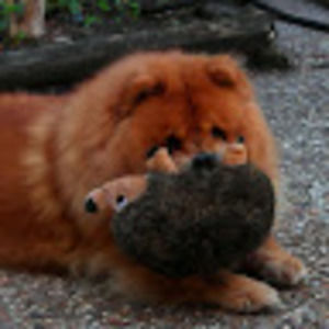 Meet your Posher, Bob